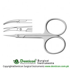 Nail Scissor Stainless Steel, 9 cm - 3 1/2"